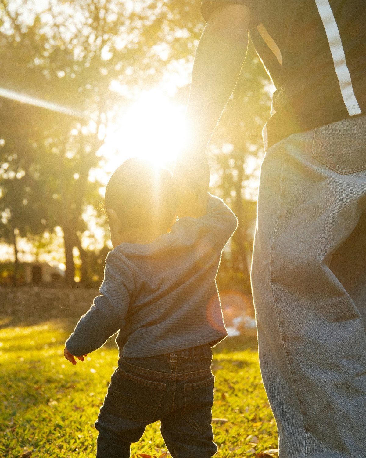 Family office and legacy planning